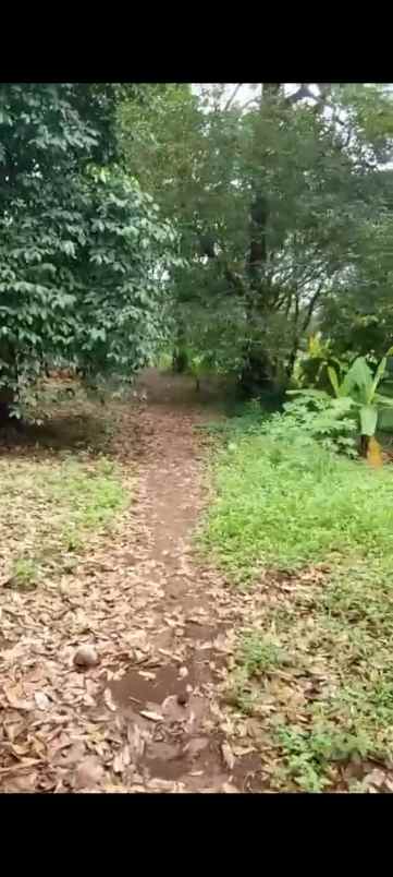 dijual tanah serang banten