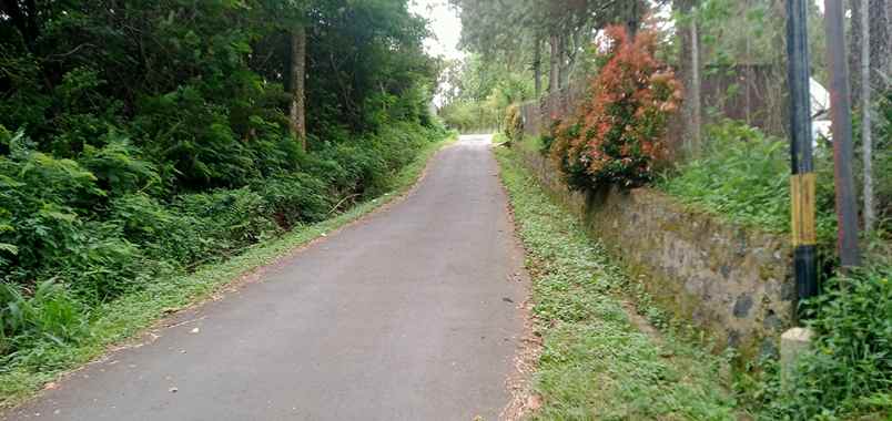 dijual tanah sukanagara