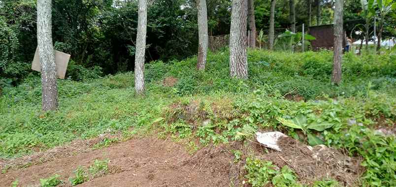 dijual tanah sukanagara