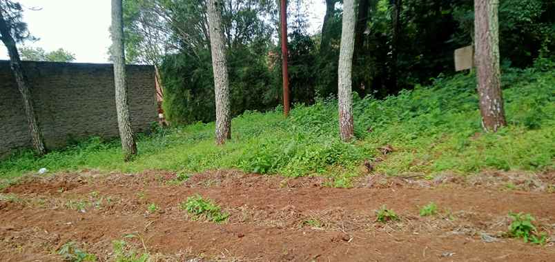 dijual tanah sukanagara