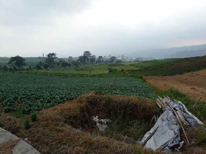 dijual tanah sumber brantas