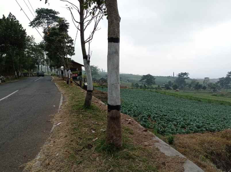 dijual tanah sumber brantas