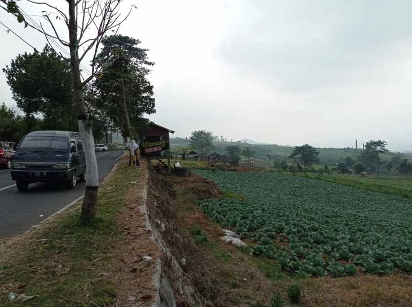 dijual tanah sumber brantas