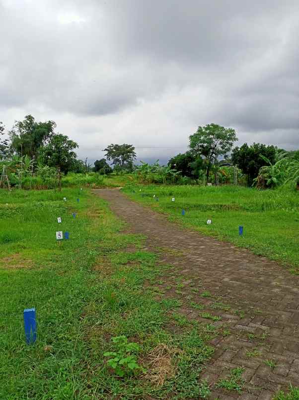 dijual tanah sumbersuko pandaan