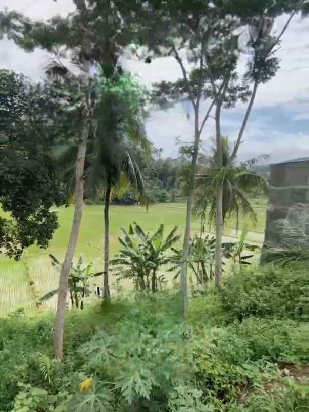 dijual tanah ungaran