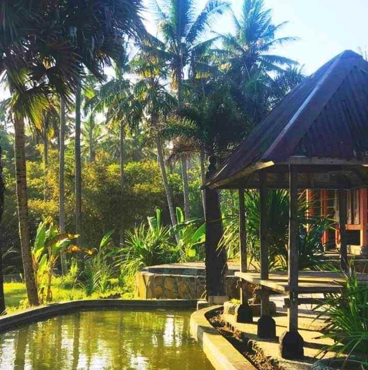 dijual villa pinggir pantai seraya karangasem bali