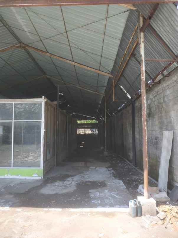 disewakan ruko gudang kantor jalan bypass ngurah rai bali