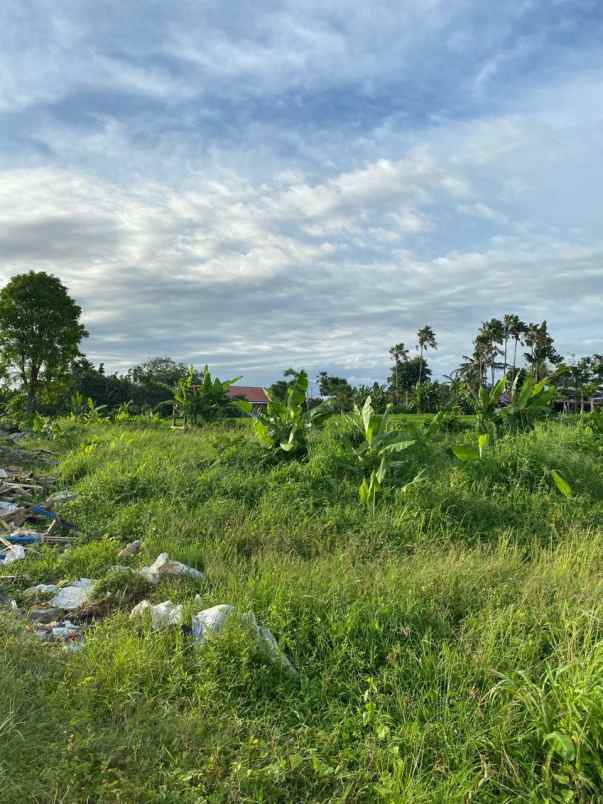disewakan tanah banjar semer kerobokan