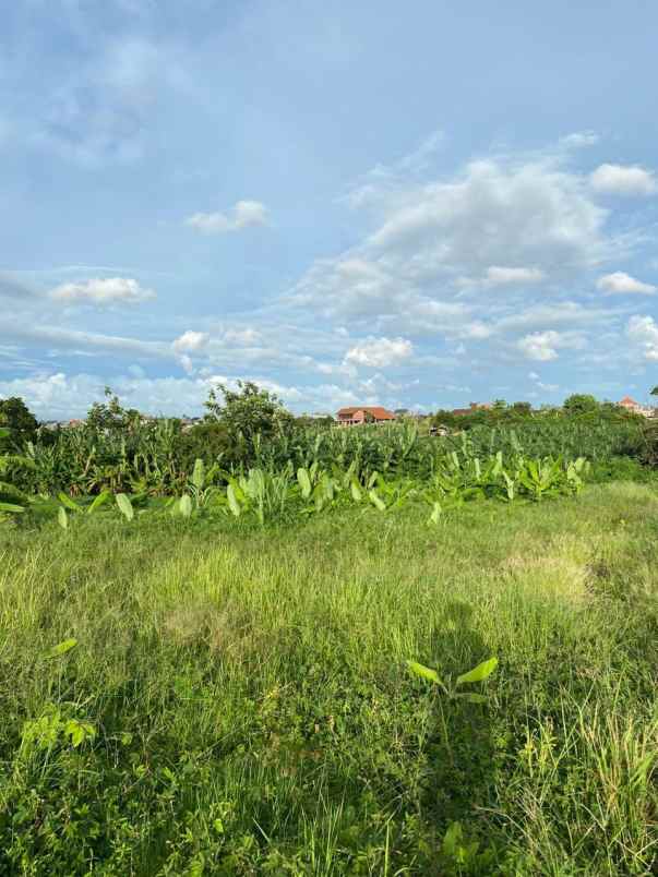 disewakan tanah banjar semer kerobokan