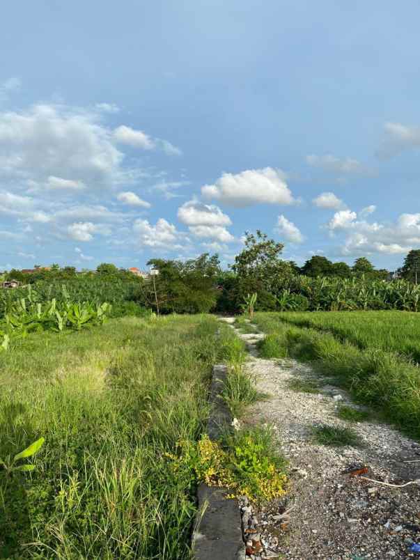 disewakan tanah banjar semer kerobokan