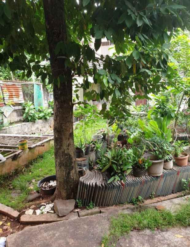 for sale rumah lama layak huni