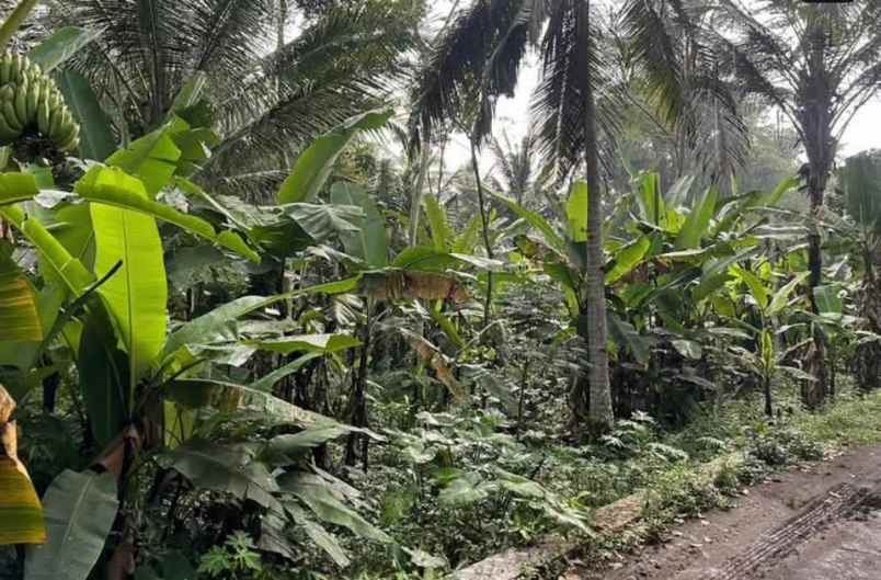 jual murah tanah dekat exit tol salatiga