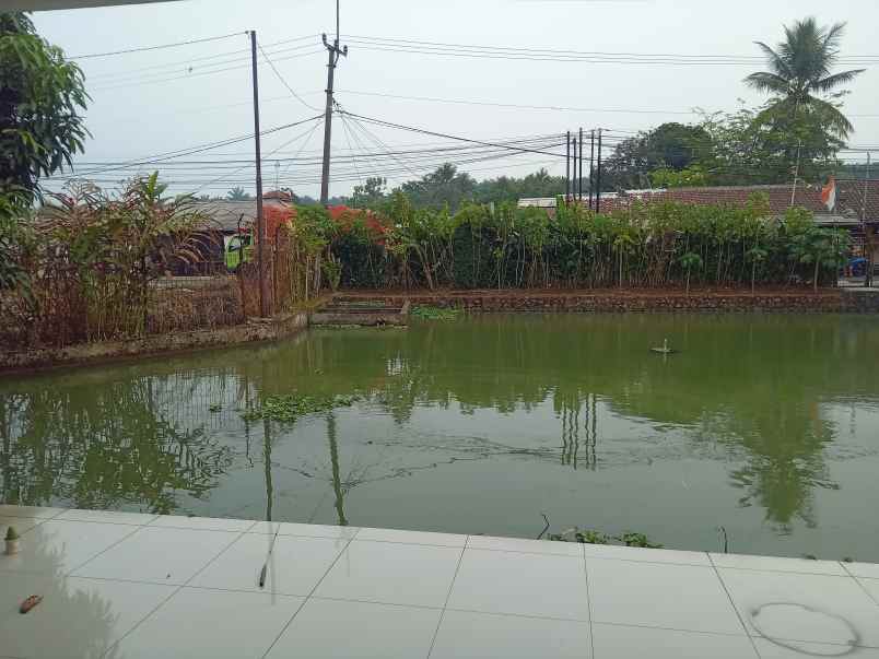 jual rumah mewah dan 11 kolam ikan di kabupaten bogor
