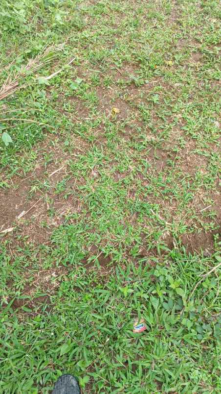 jual tanah 13x23 di serba jadi sunggal