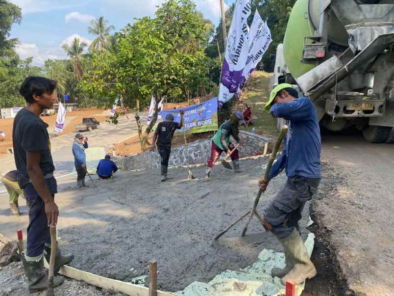 jual tanah murah berikut greenhouse