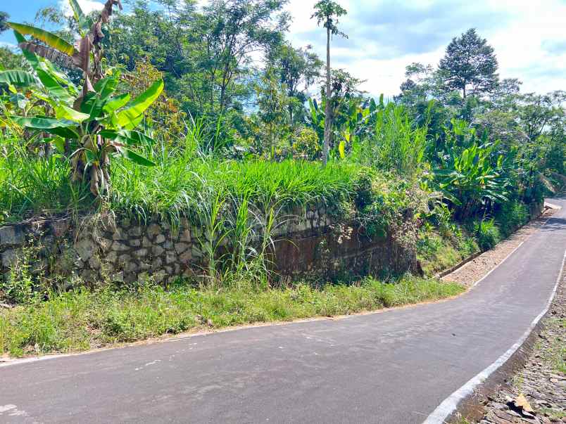 kebun durian 950m 250jt mojogedang karanganyar