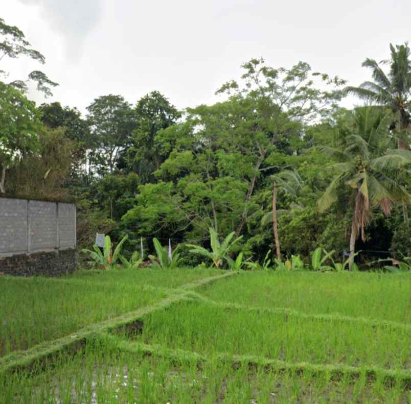 land for leasehold in main road tirta tawar ubud