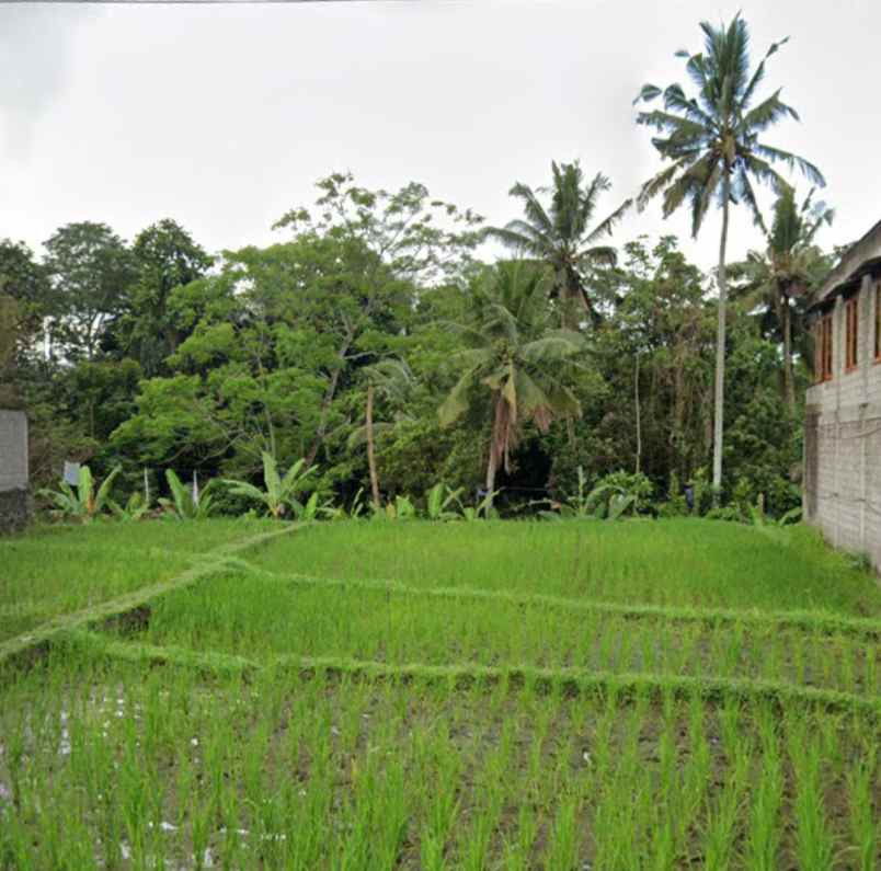 land for leasehold in main road tirta tawar ubud