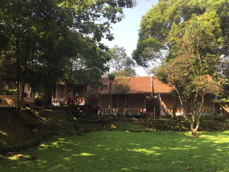 resort alami gunung salak kab bogor