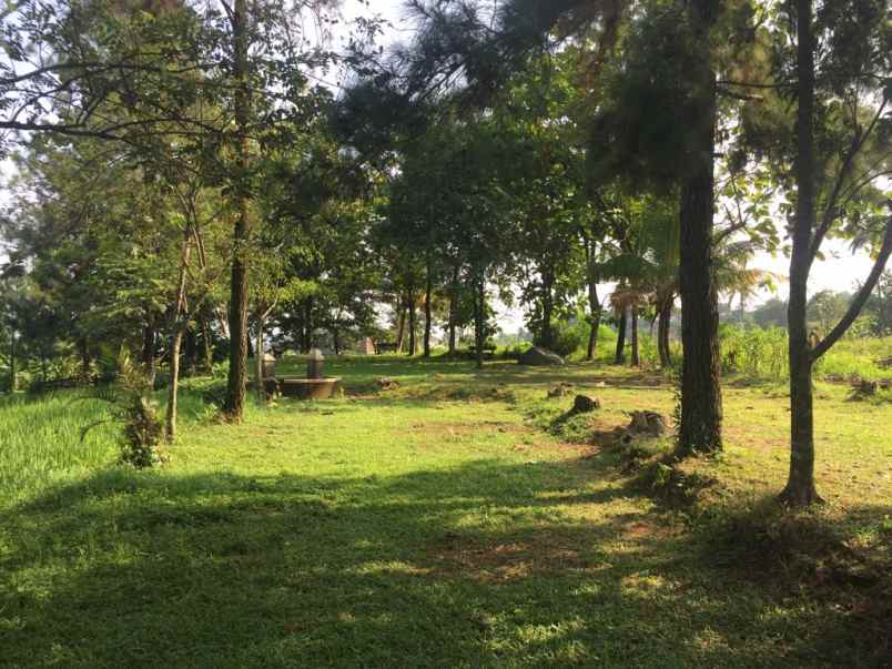 resort alami gunung salak kab bogor