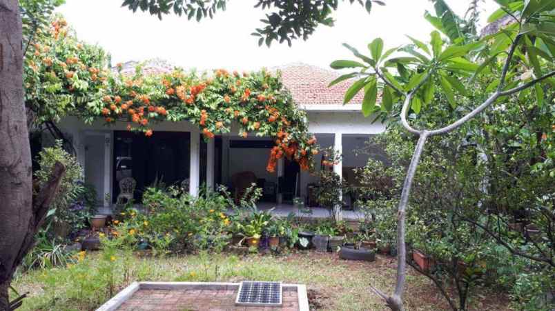 rumah kemang