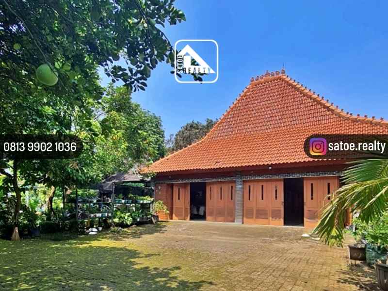 rumah mewah klasik dengan taman luas di jagakarsa