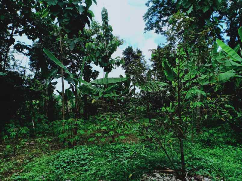 rumah mojogedang karanganyar