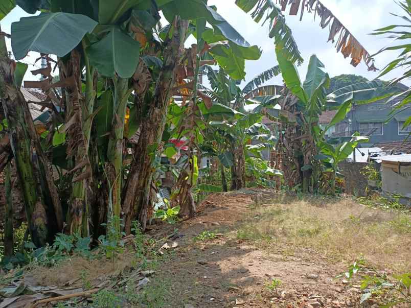 rumah terawat super luas murah di celaket kota malang