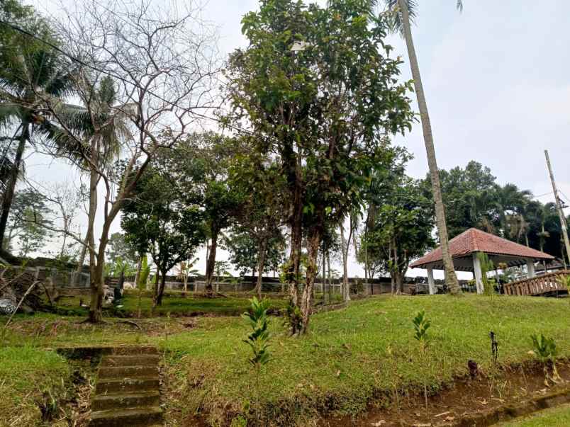 rumah vila sangat asri di ciomas bogor jawa barat