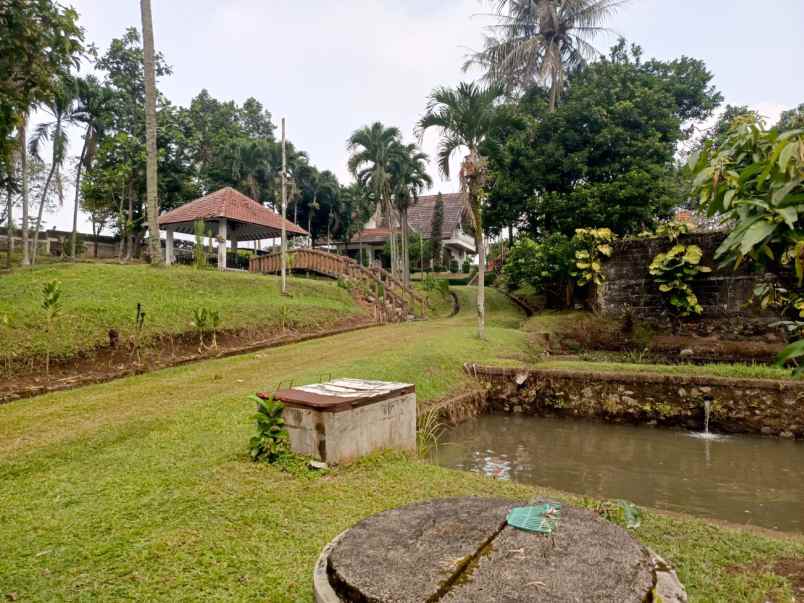 rumah vila sangat asri di ciomas bogor jawa barat