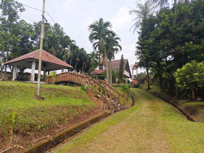 rumah vila sangat asri di ciomas bogor jawa barat