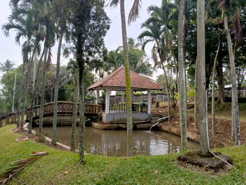 rumah vila sangat asri di ciomas bogor jawa barat