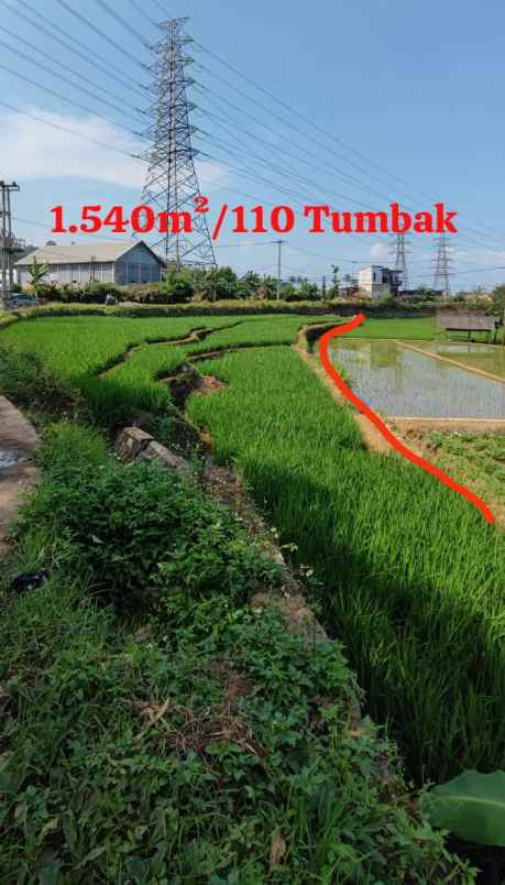 sawah produktif jatinangor lokasi bagus