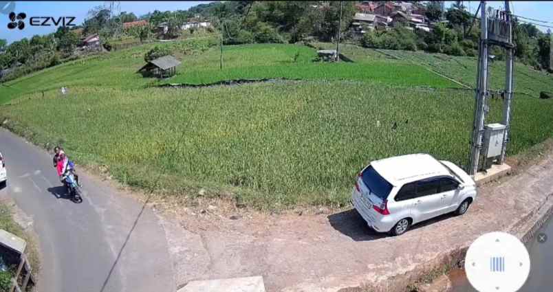 sawah produktif jatinangor lokasi bagus