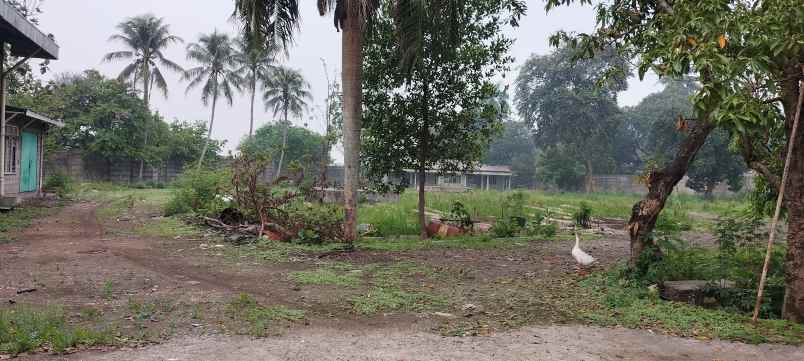 tanah 5637m2 jl raya cileungsi depan mekarsari bogor