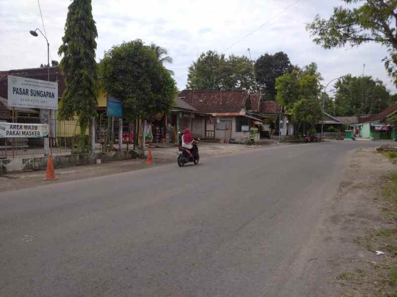 tanah argorejo sedayu cocok bangun villa jogja