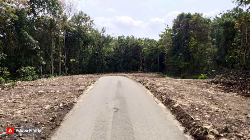 tanah argorejo sedayu cocok bangun villa jogja