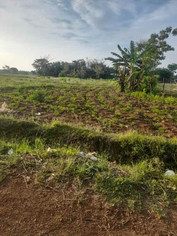 tanah bagus strategis padat rata view bagus