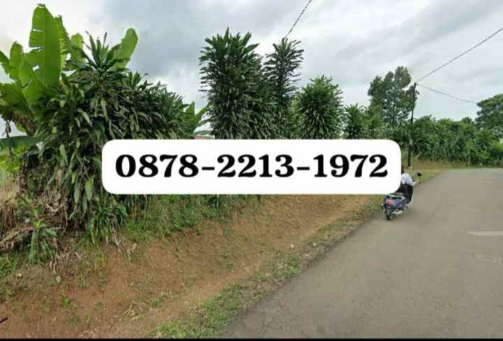 tanah bagus untuk villa di jasinga bogor