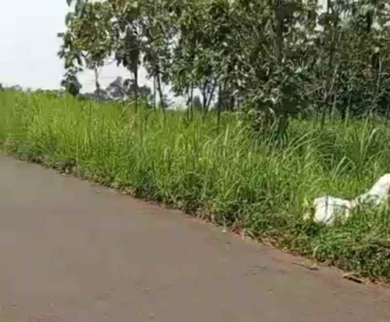 tanah dekat tol caringin bogor