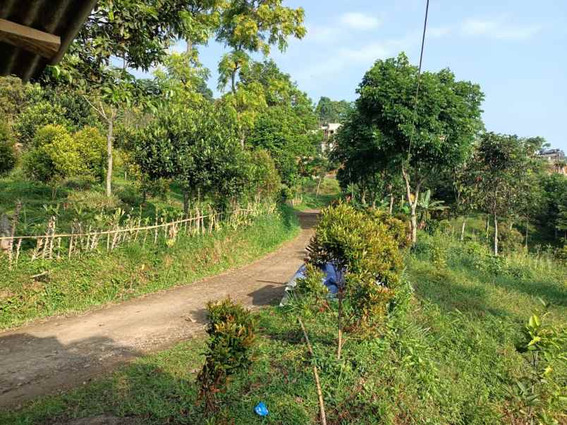 tanah desa tajur halang cijeruk