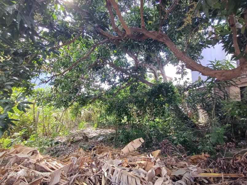 tanah di bali cliff ungasan hanya 10 menit ke melasti