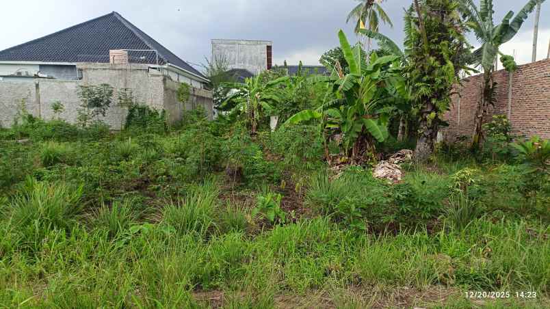 tanah di way kandis luas 300m shm