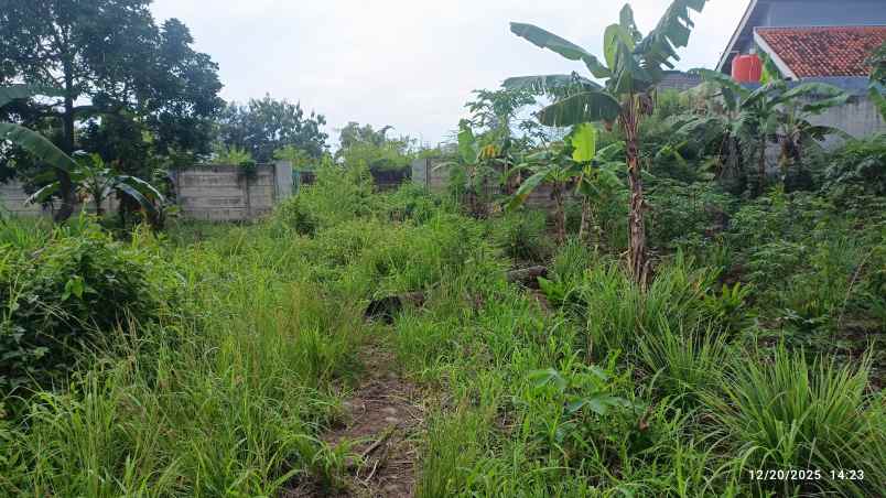 tanah di way kandis luas 300m shm