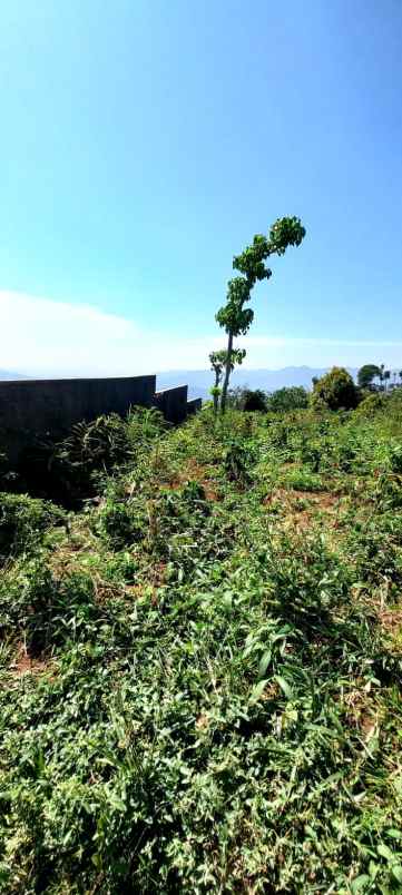 tanah diatas bukit di sumedang selatan luas 2 ha