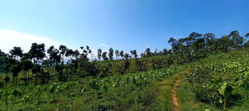 tanah diatas bukit di sumedang selatan luas 2 ha