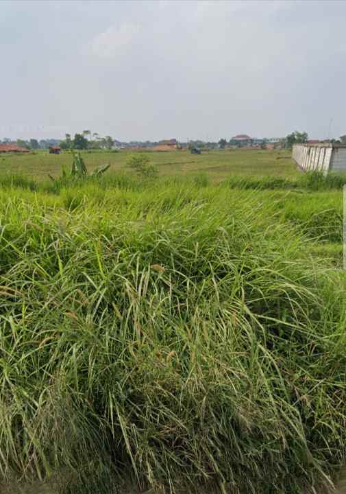 tanah dijual cibarusah kab bekasi