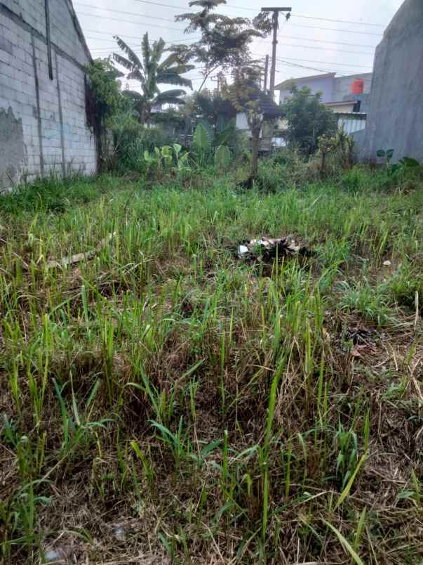 tanah dijual luas tanah 115m harga permeter 2 5jt