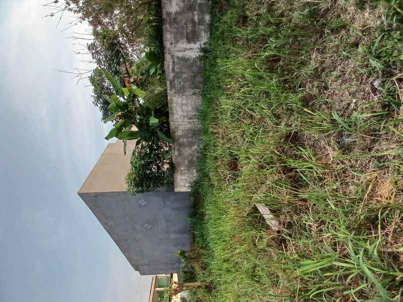 tanah dijual luas tanah 115m harga permeter 2 5jt