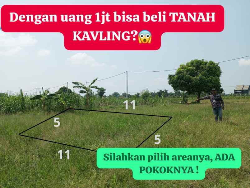 tanah kavling cantik murah barakka land di kedamean